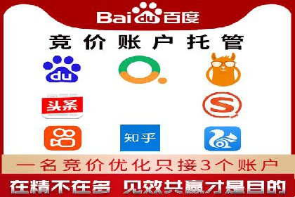 搜索引擎关键词竞价排名的策略调整与案例