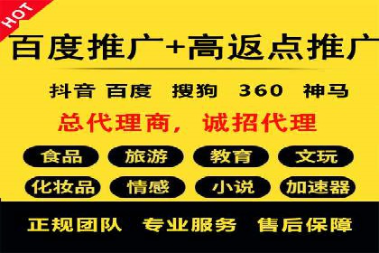 SEM竞价实战：成功案例解析